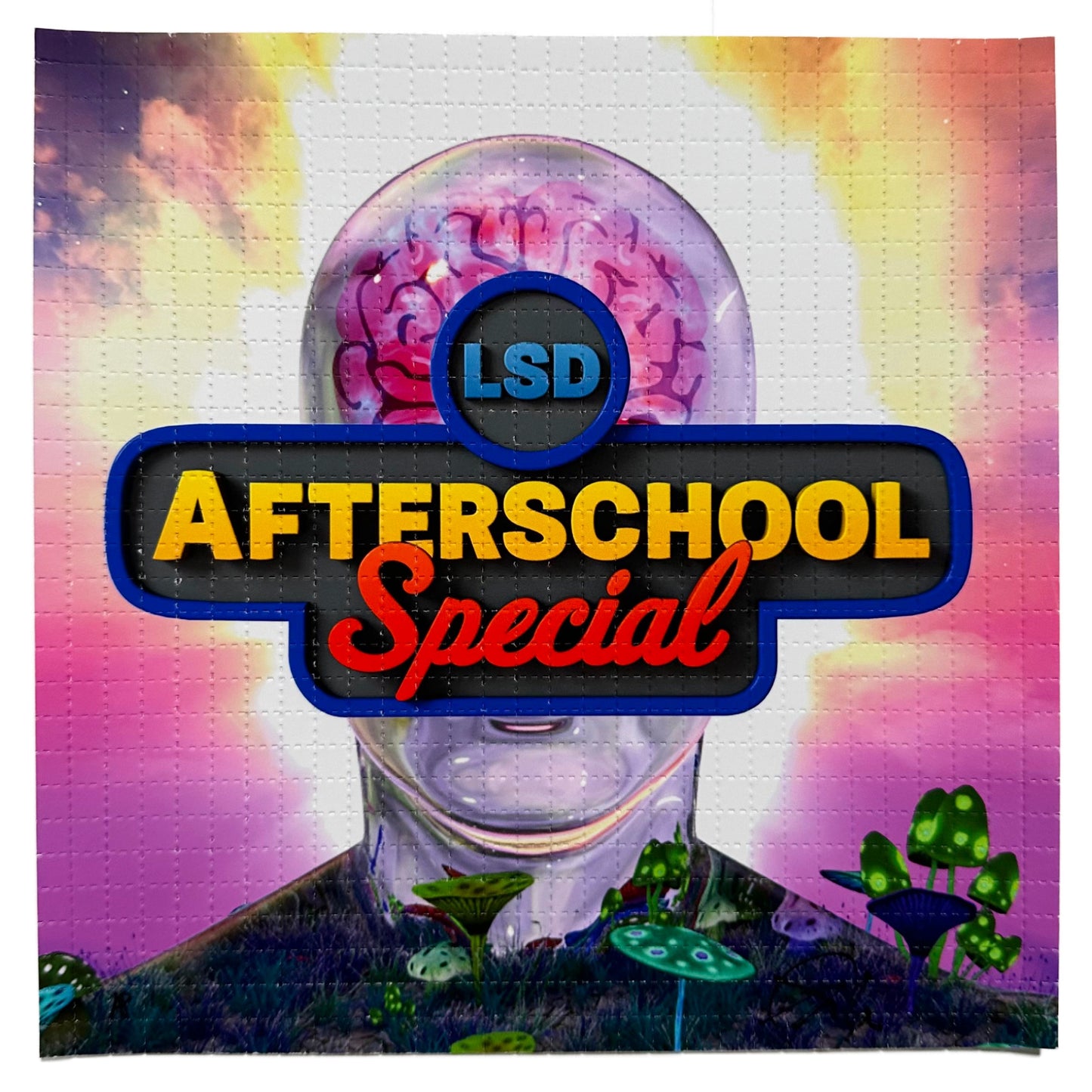 LSD Afterschool Special Blotter (Edition of 50)